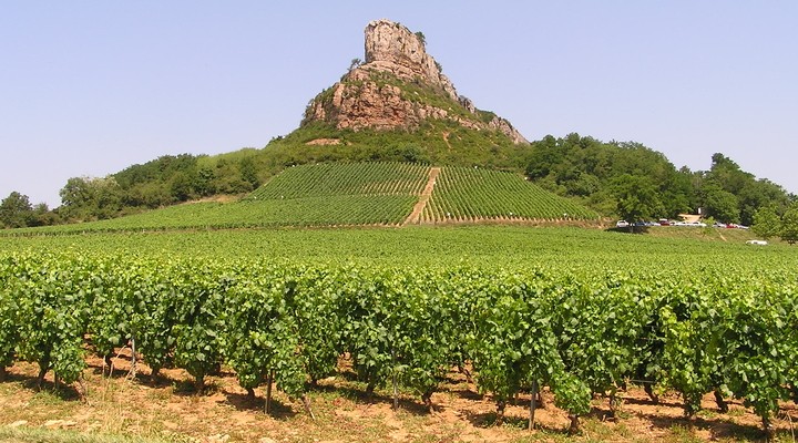 Wijnvelden Aube-en-Champagne Frankrijk