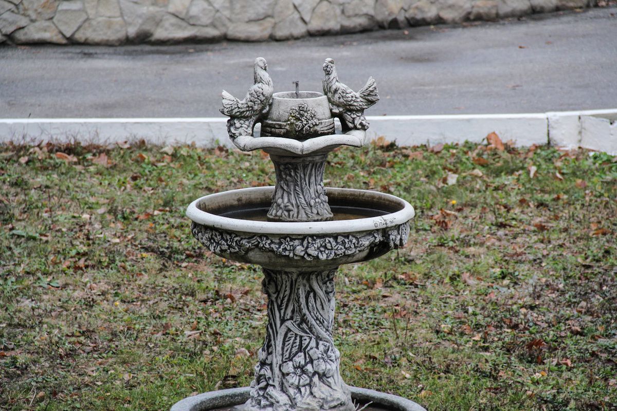 Fontein in het Codru Reservaat