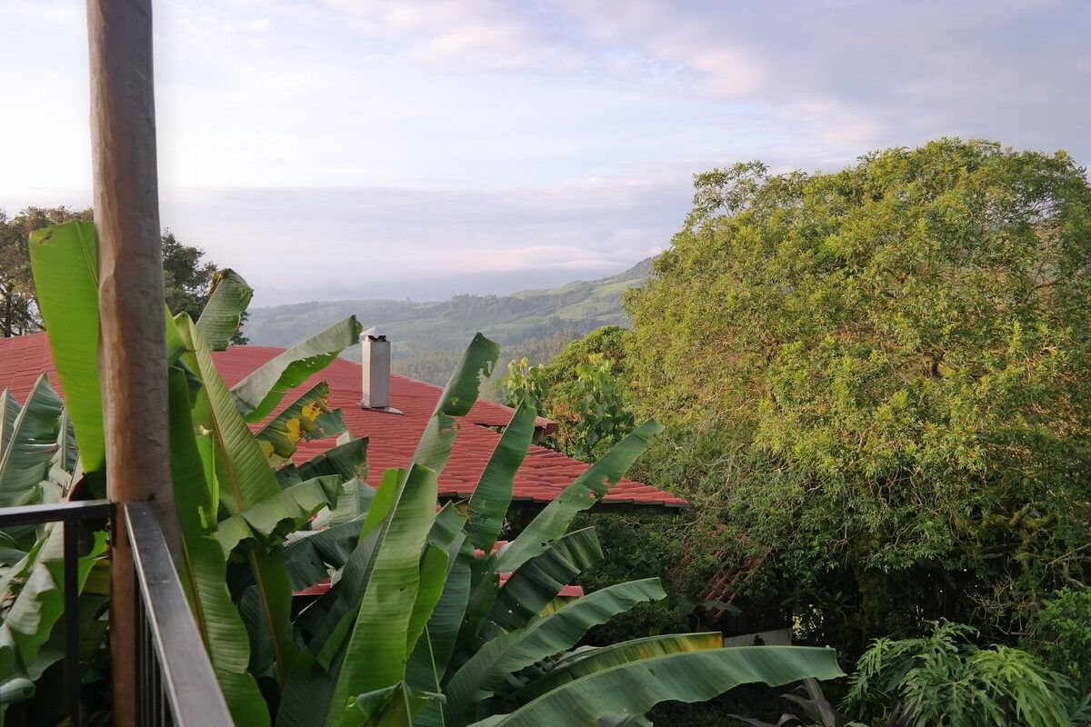 Uitzicht vanuit de kamer bij de Guayabo Lodge