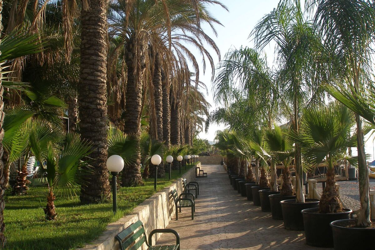 Palmenboulevard in Kemer