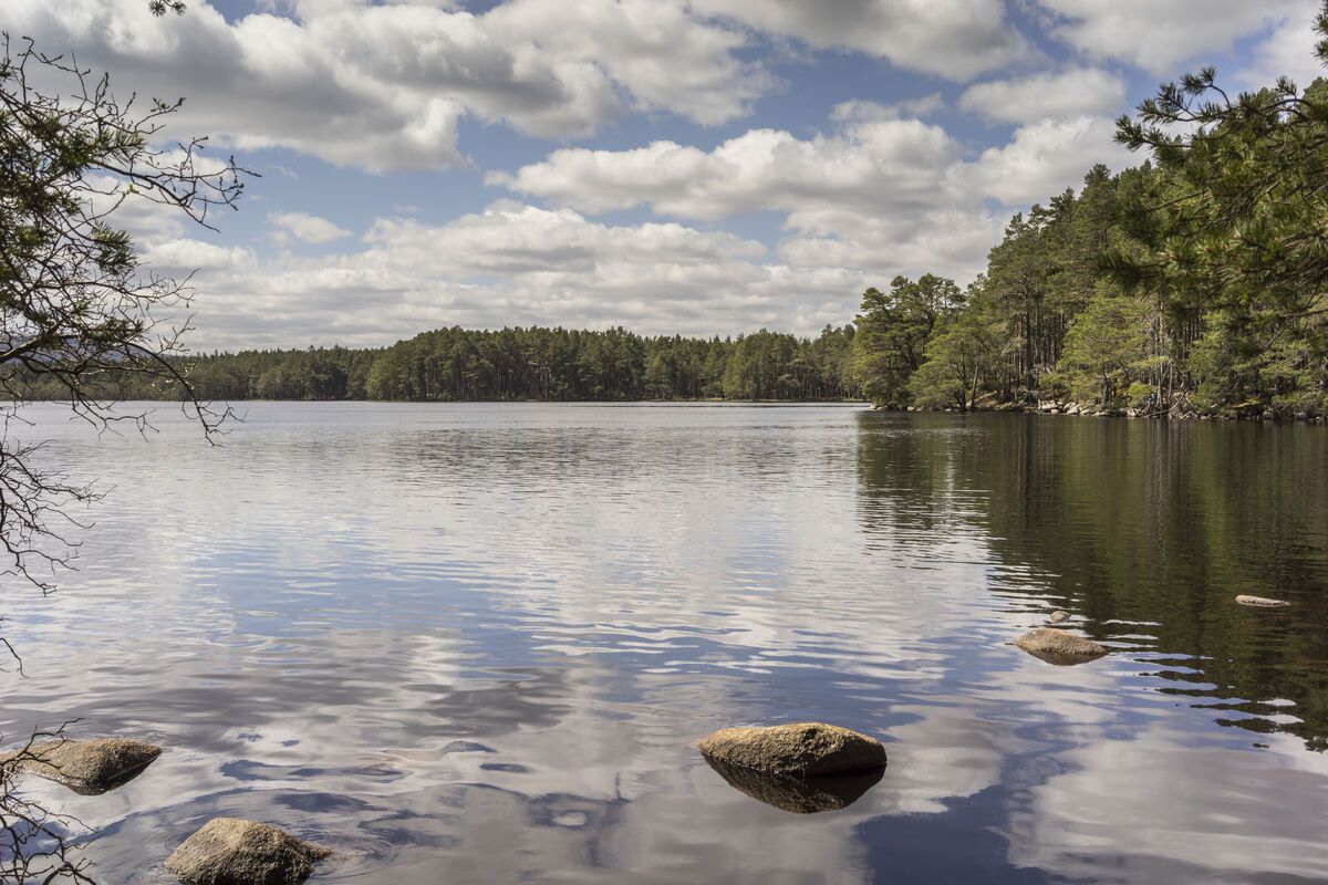 Loch Garten in het Cairngoms National Park