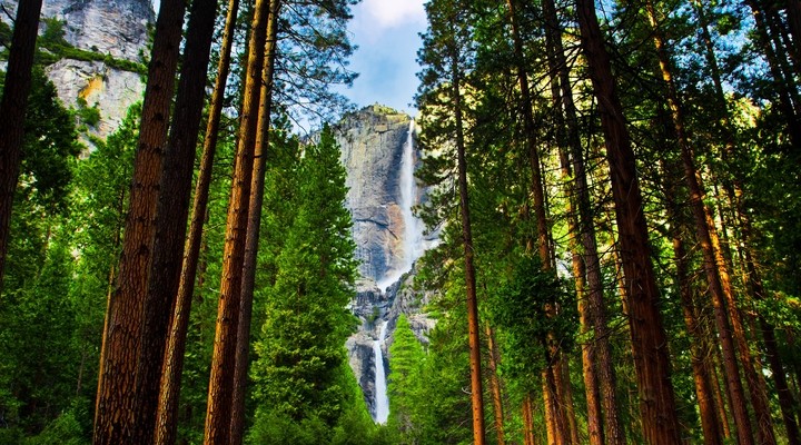 De Yosemite Falls in het Yosemite National Park