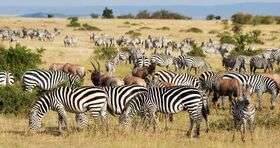 Mathijs Dassel van AV-Tours & Safaris