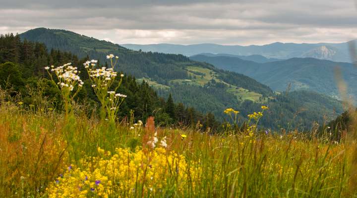 Ongerepte natuur in Bulgarije