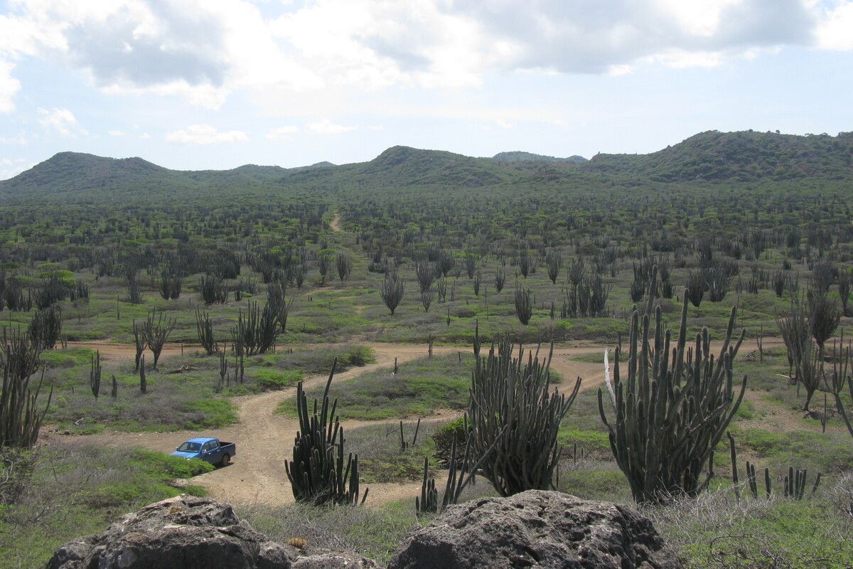 Washington Slagbaai National Park