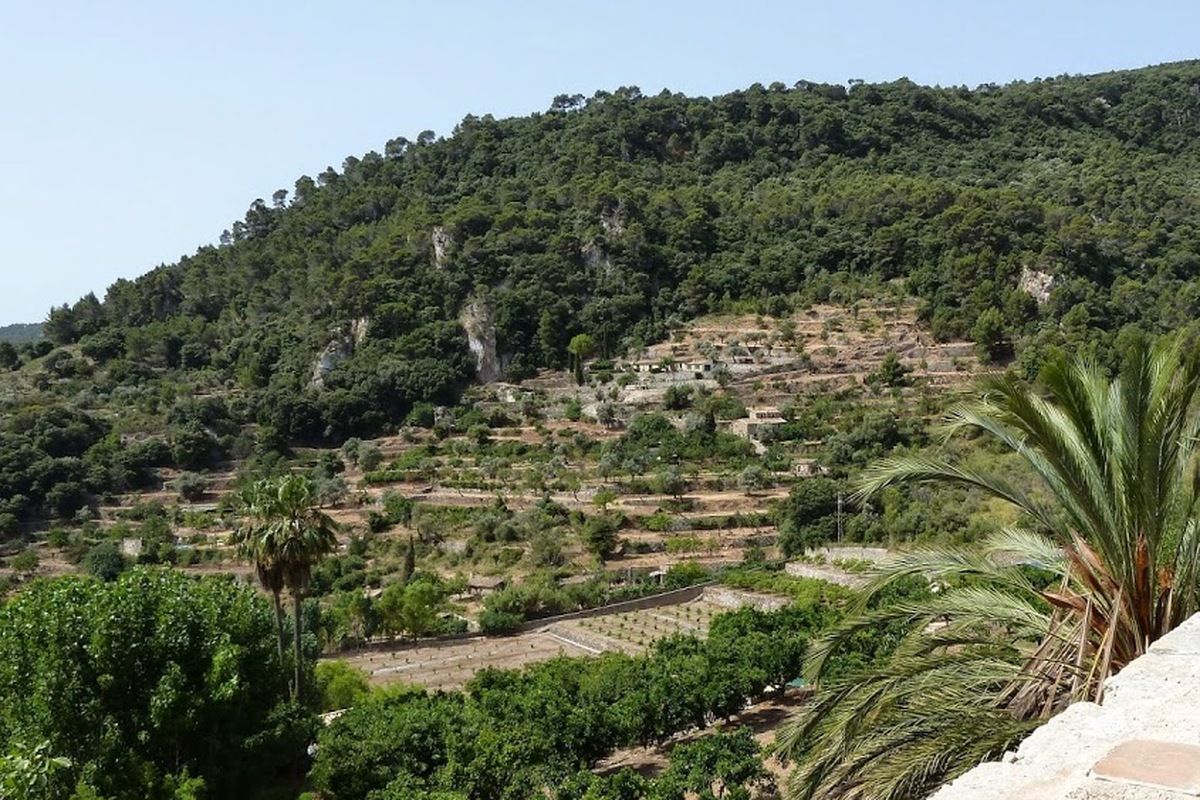 Valldemossa