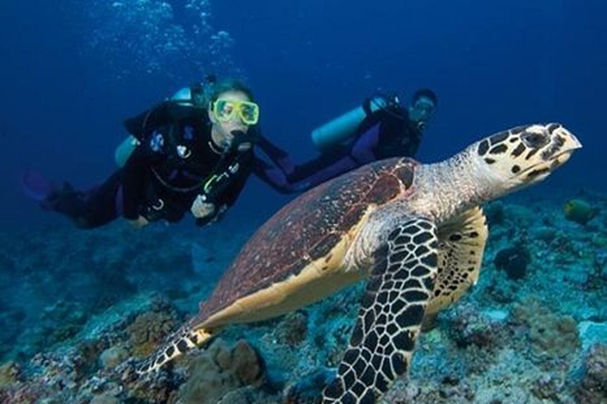 Duiken op Papoea-Nieuw-Guinea
