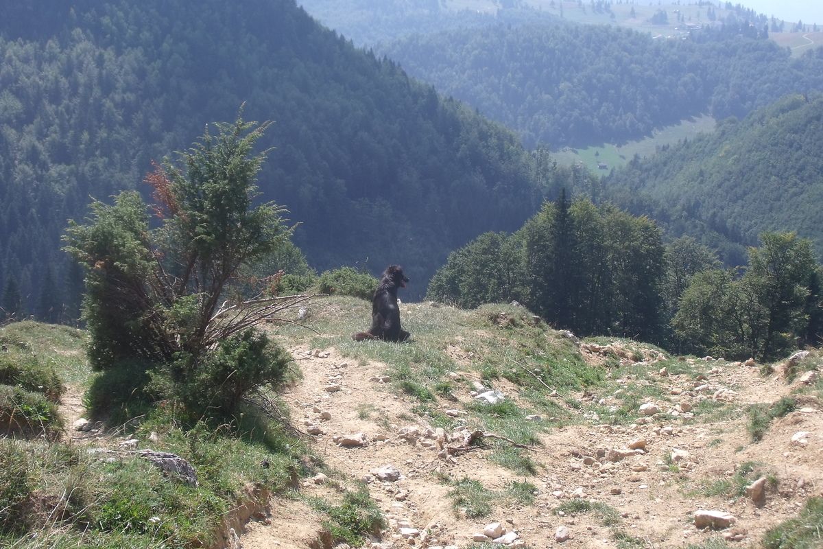 Piatra Craiului gebergte