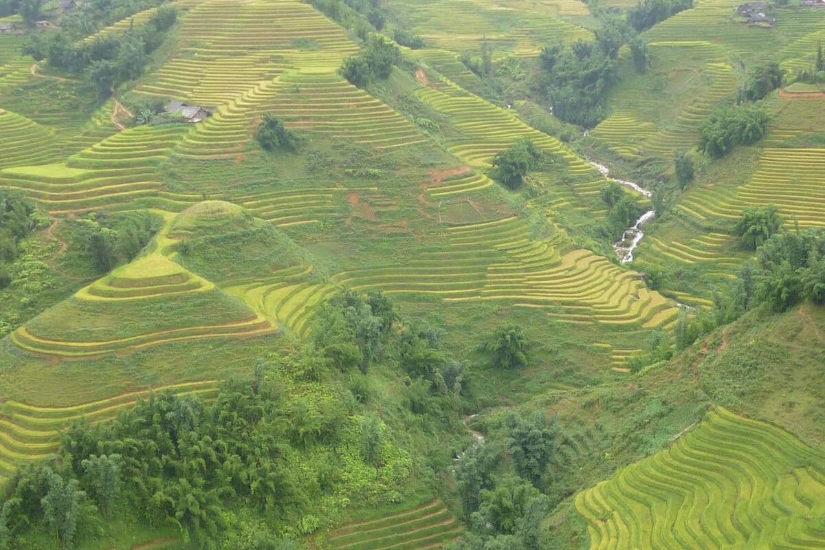 Het landschap van Sapa in Vietnam