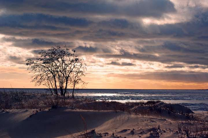 Pärnu