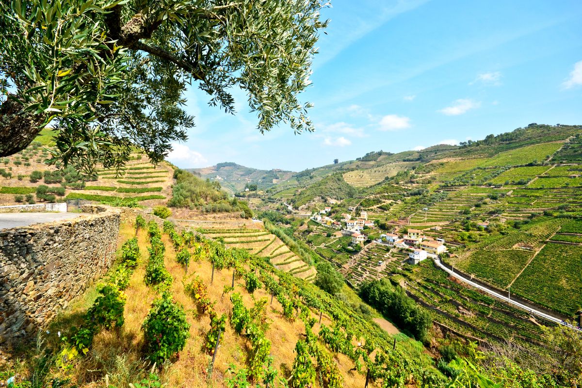 Costa Verde, Noord-Portugal