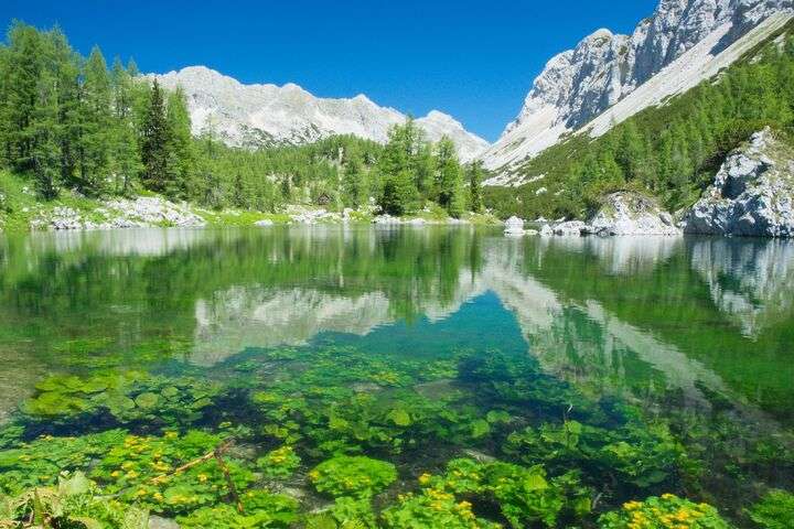 Het Triglav National Park