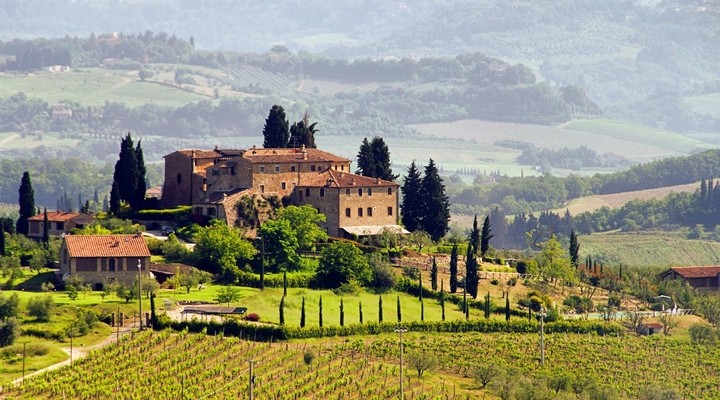 Wijngaard Toscane, Itali