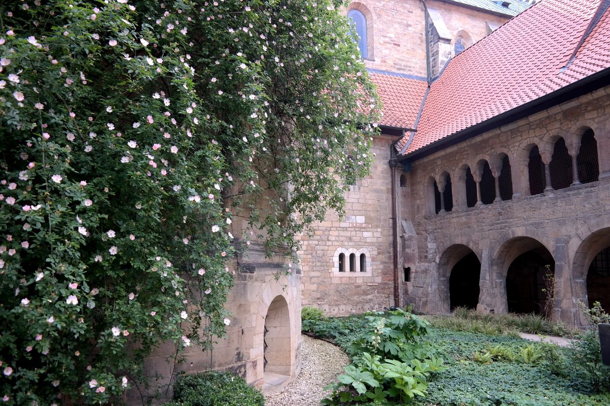 De rozenstruik