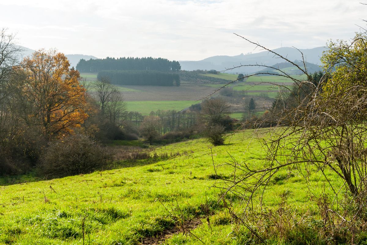 Uitzicht over het landschap van het Sauerland