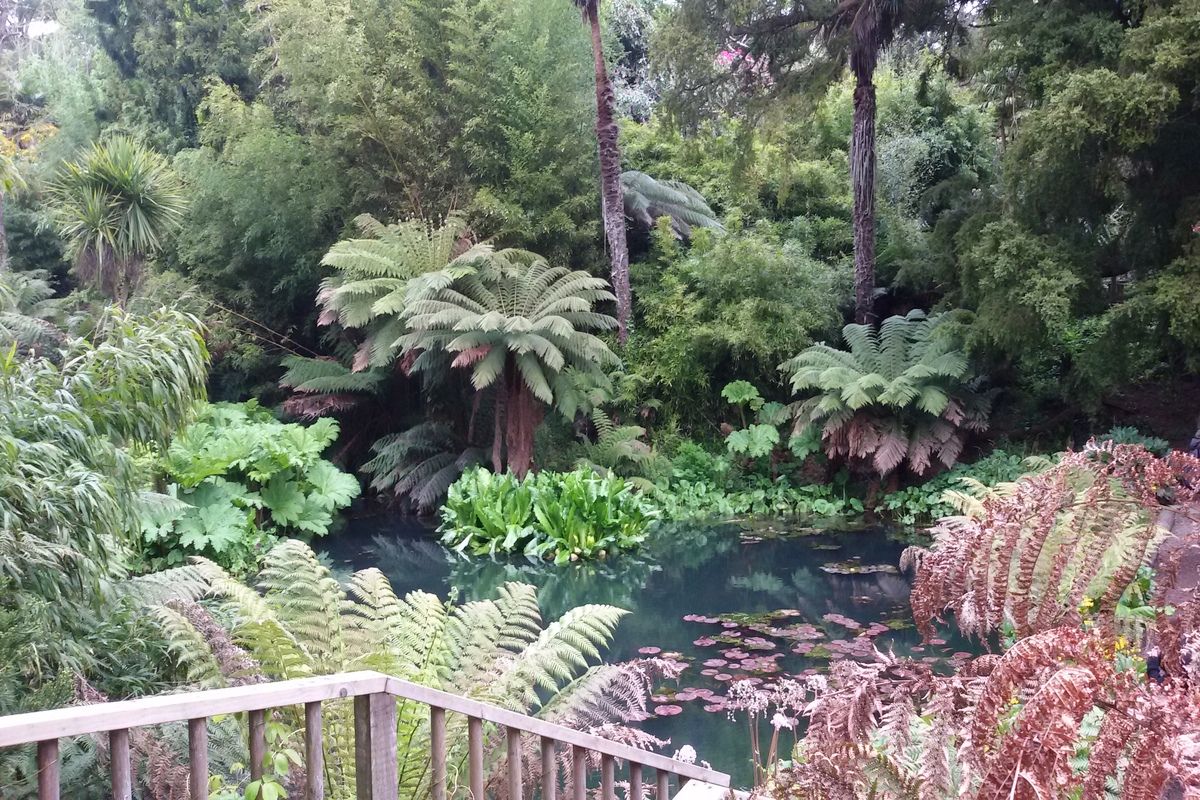 Lost Gardens of Heligan