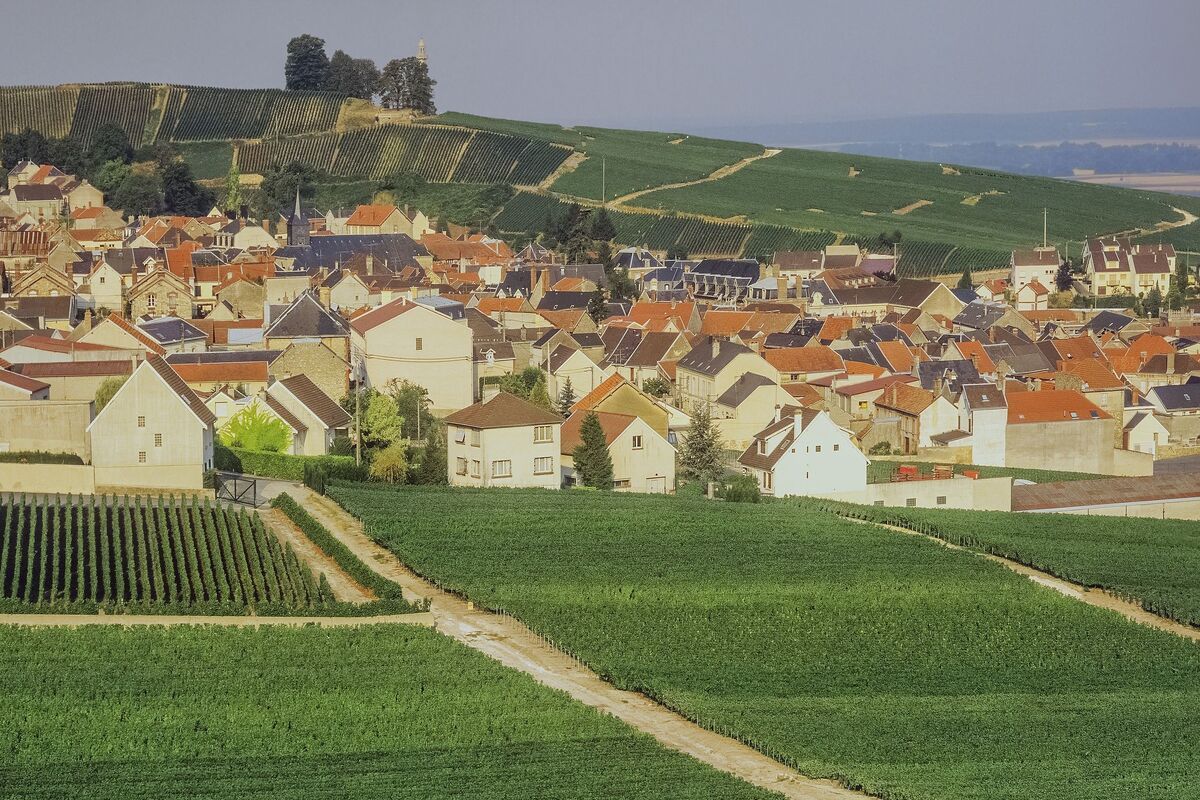 Landschap Champagnestreek
