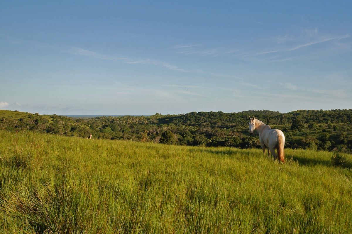 Foto van deze vakantie