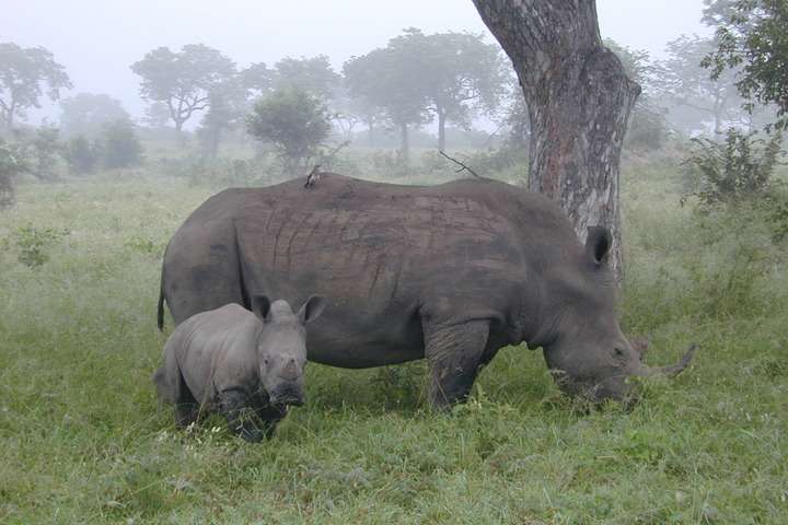 Ngorongoro Conservation Area