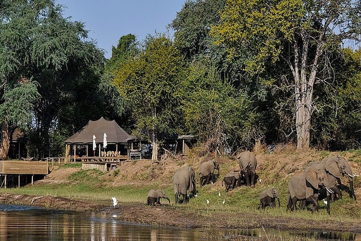 Ruckomechi Camp Zimbabwe