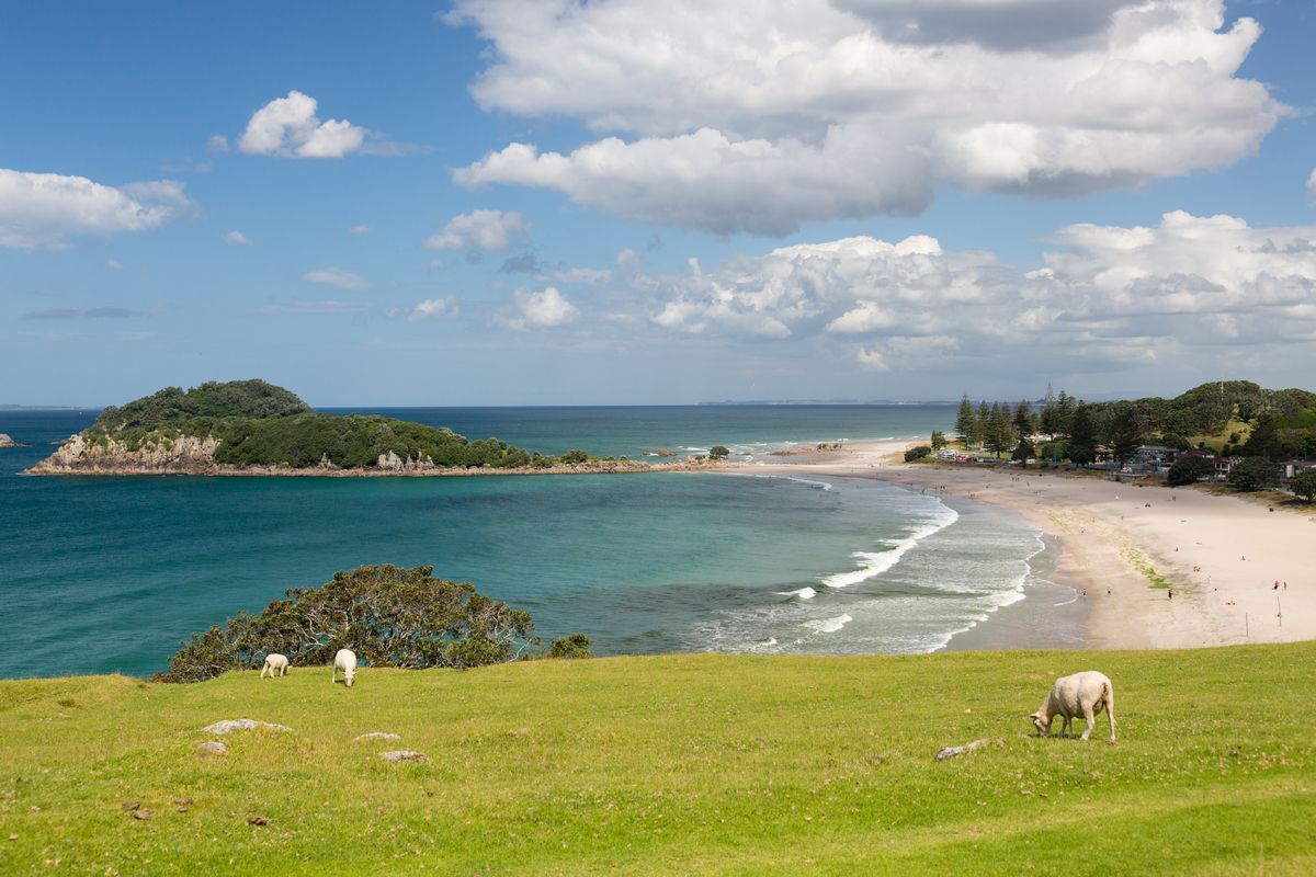 Tauranga Nieuw-Zeeland