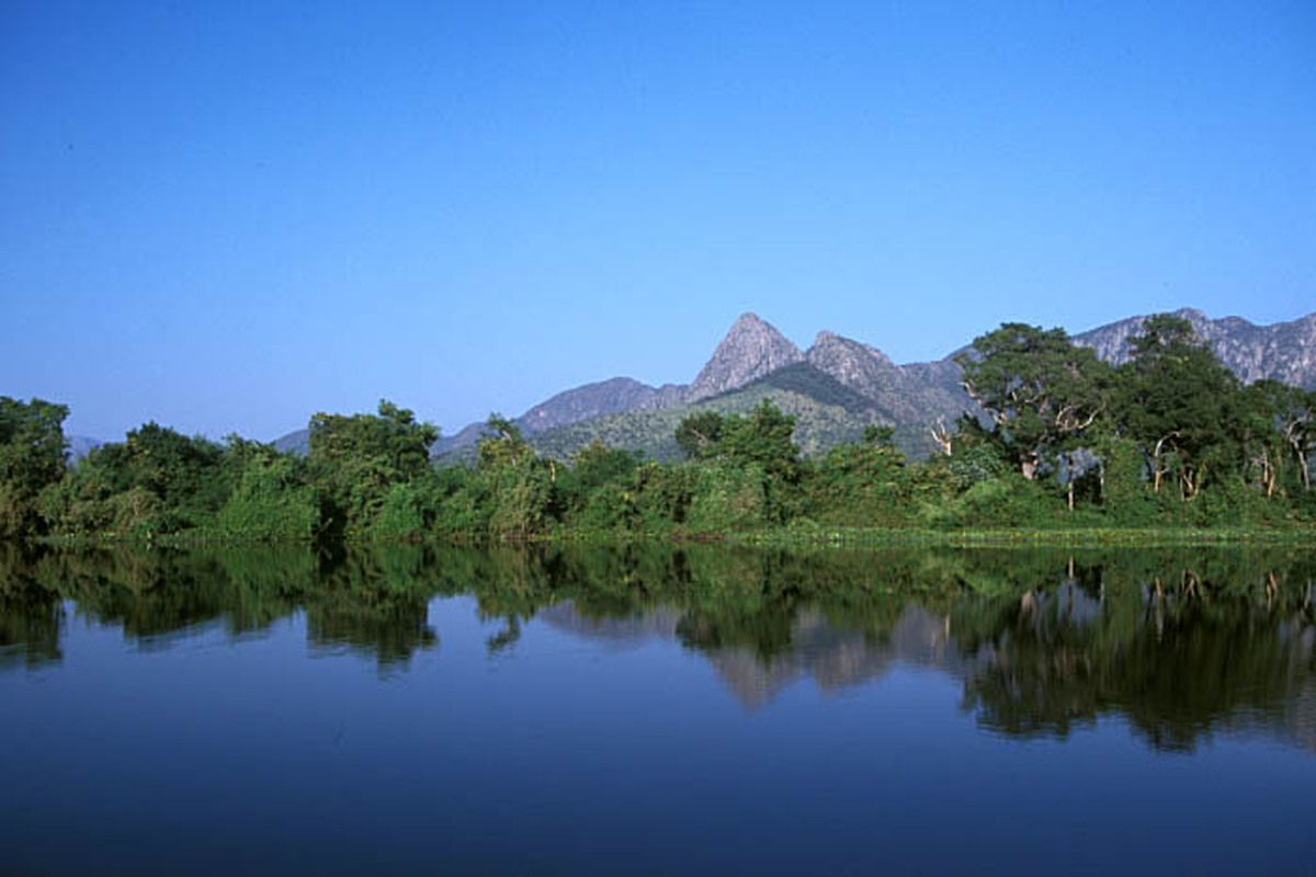Natuurgebied Pantanal