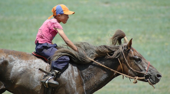 het Naadam festival