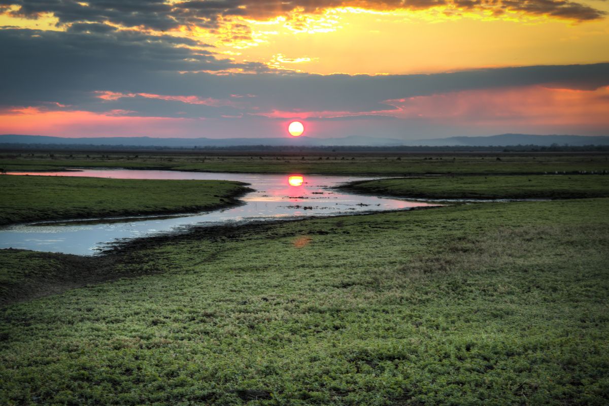 De mooie natuur van Gorongosa Nationaal Park