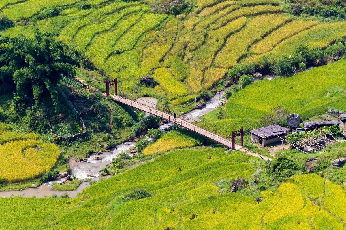 De rijstvelden bij Sapa