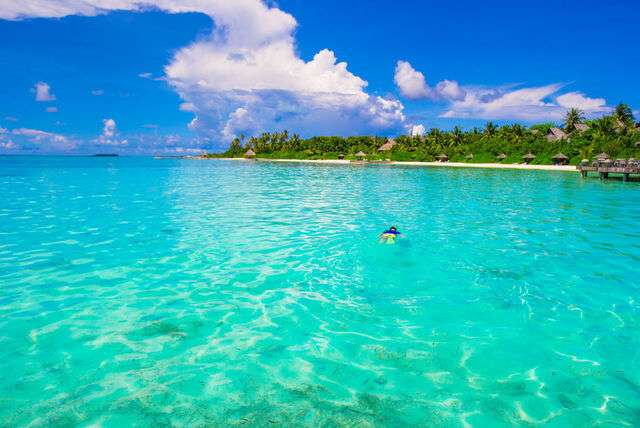 Snorkelen op Bonaire