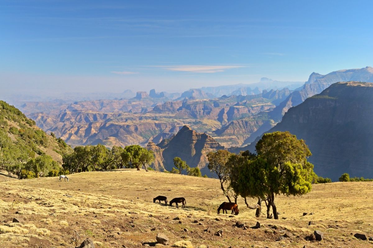 Nationaal park Simien