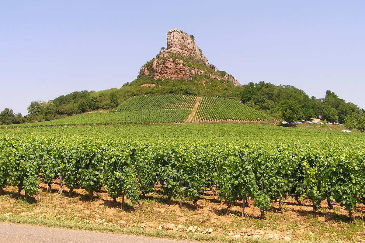 Wijnvelden Aube-en-Champagne Frankrijk