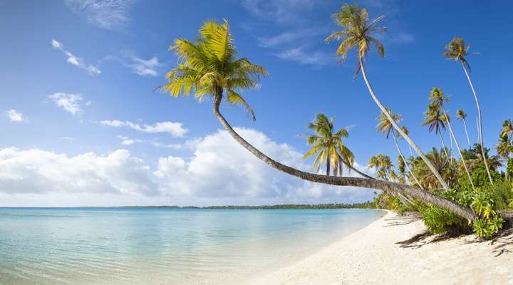 Strand Dominicaanse Republiek