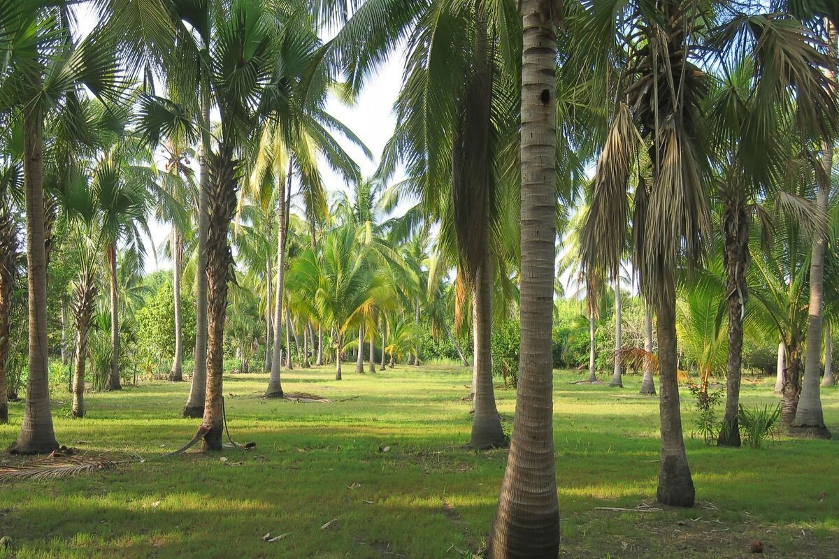 Lagune van Ventanilla, Puerto Angel