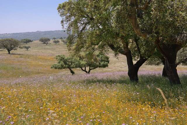 Lente in Alentejo
