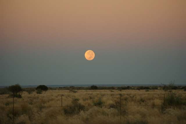 De Kalahari in Namibi