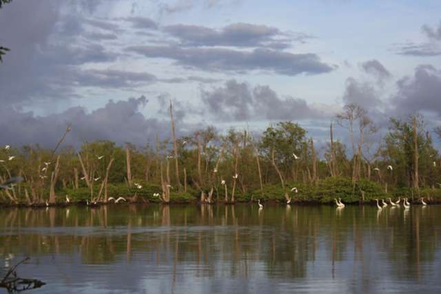 Rondreizen in Suriname