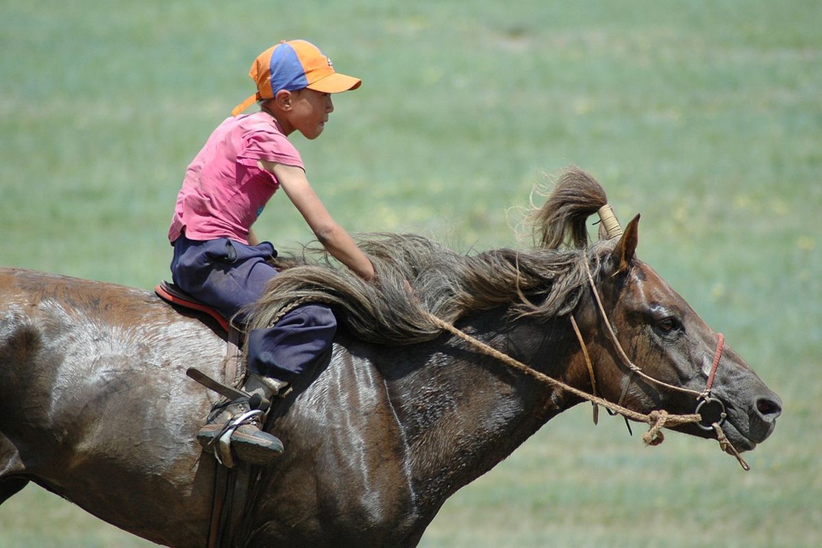 het Naadam festival