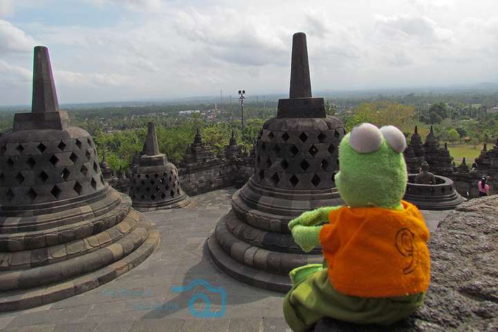 Kermit bij Borobudur