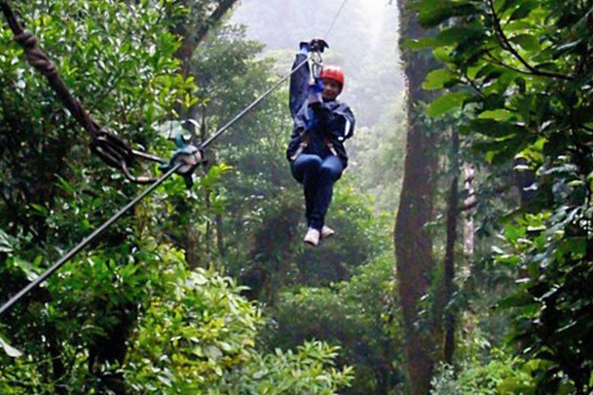 Regenwoud Costa Rica, interview