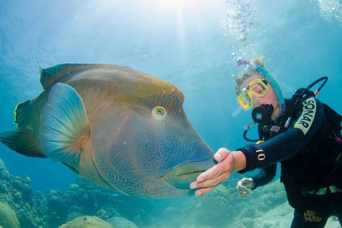 Great Barrier Reef