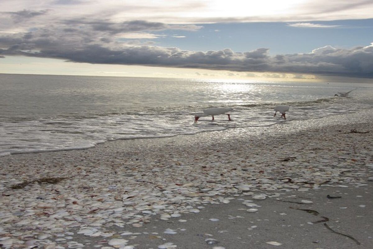 Sanibel Island