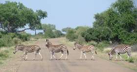 Sandra Terschegget van Sawadee Reizen