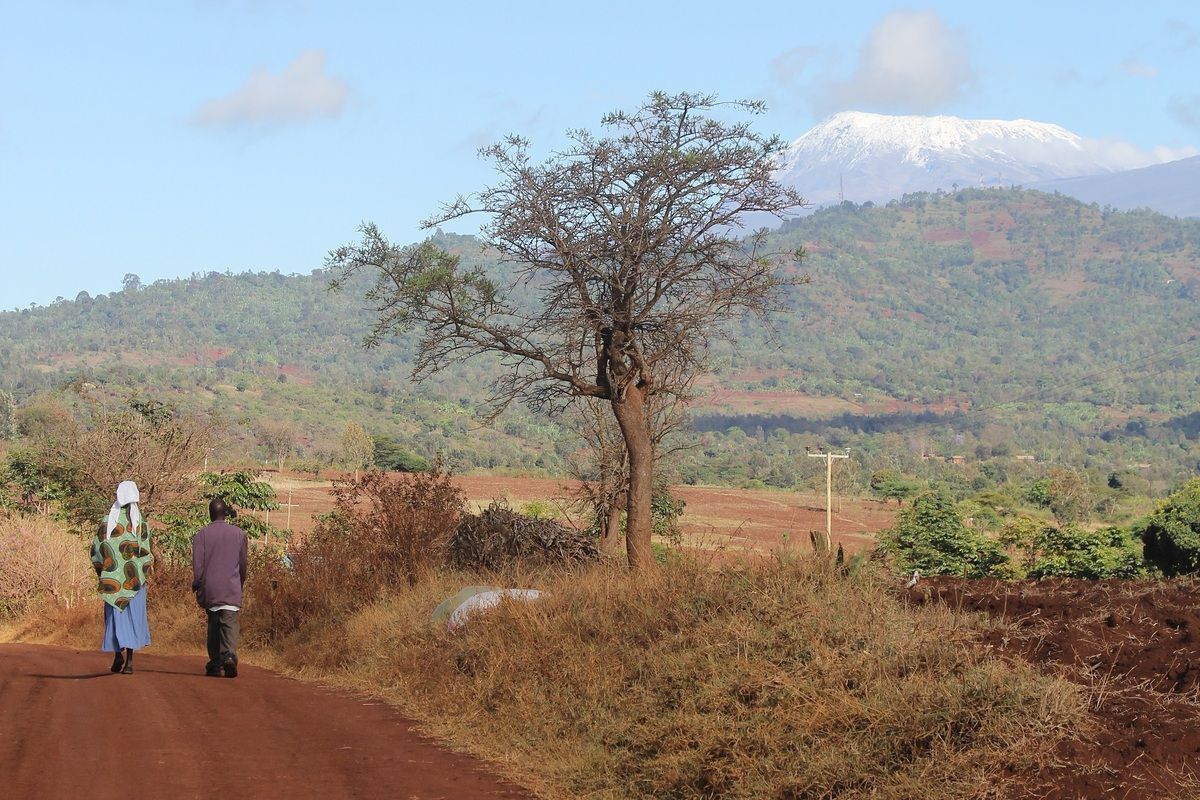Kilimanjaro