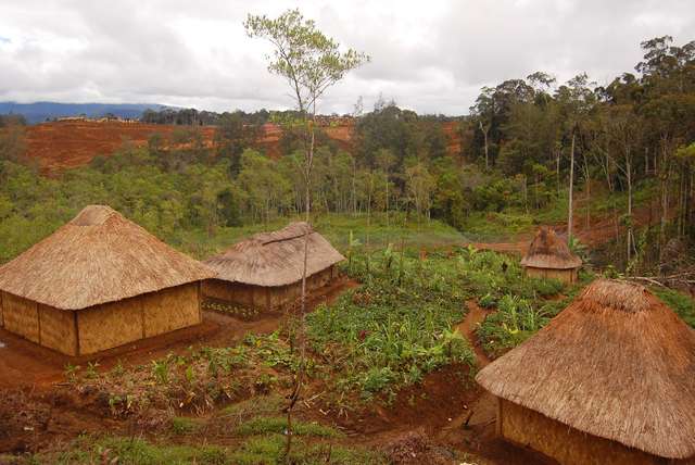 Rondreizen Papoea-Nieuw-Guinea