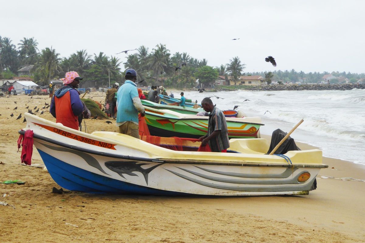 Vissers en vissersbootje Negombo