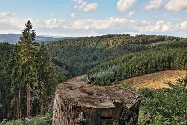 Vakantie in het Duitse Sauerland