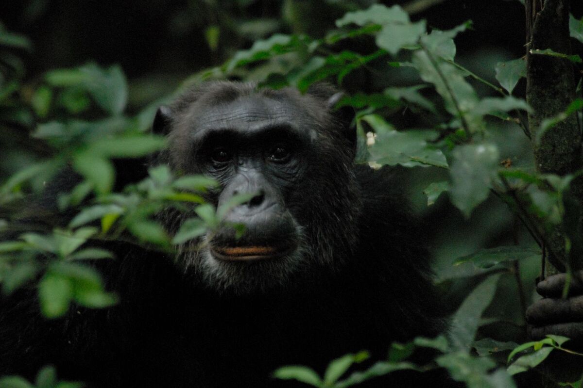 Foto van deze vakantie