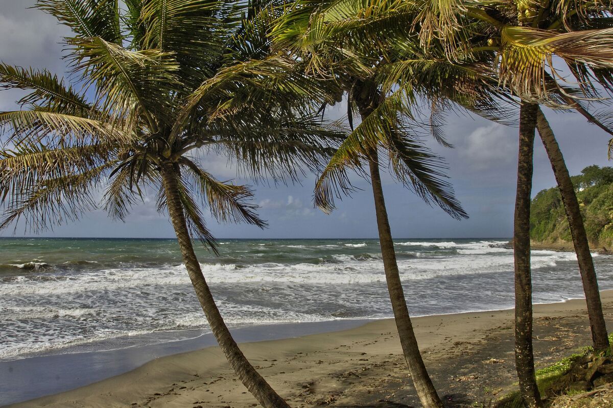 Strand Sainte-Marie, Martinique