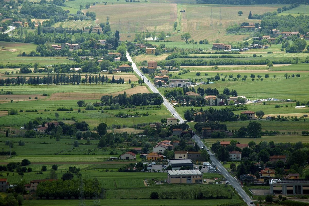 Olijfgaarden en de vlaktes van Cortona, Toscane